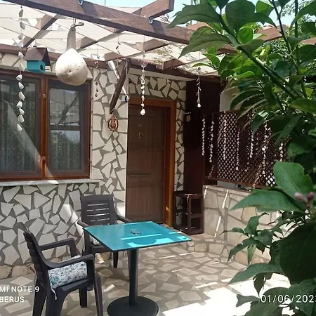 Orion Guest house